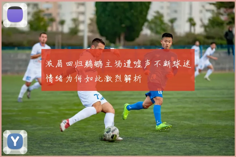 浓眉回归鹈鹕主场遭嘘声不断球迷情绪为何如此激烈解析