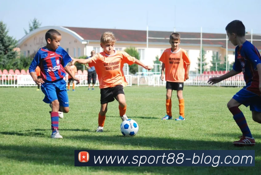 88体育平台生态图